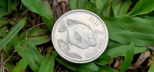 Vula i Nuqalevu Coin in Fiji - GoFiji.net
