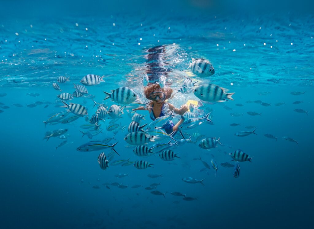 Snorkelling with Loads of Fishes