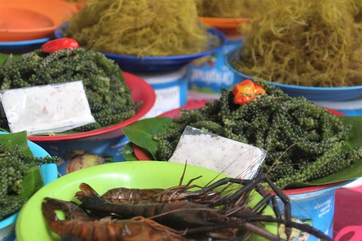 Fiji seafood from different province and market
