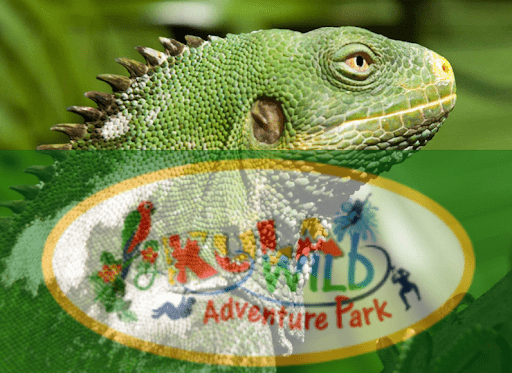 Kula wild adventure park in Fiji