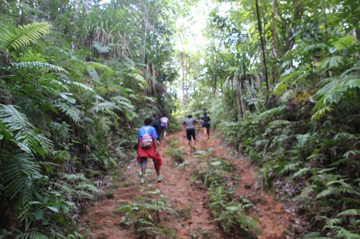 Hiking mt korobaba Fiji
